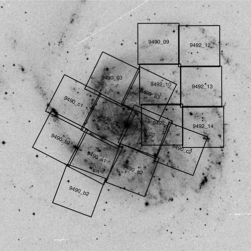 M101 Fields