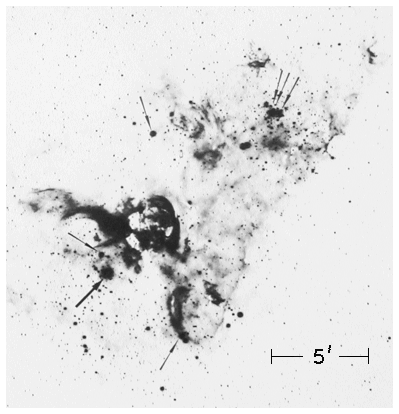 Locations of some massive stars in NGC 3372